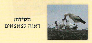 (בספר תרשים של ציוד המשימה)